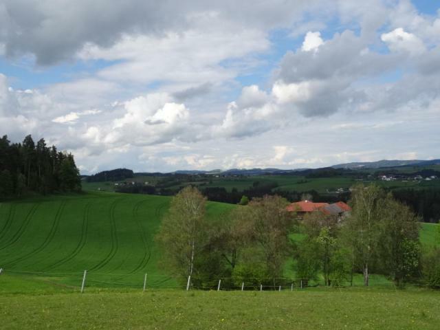 Desl'S Little Farm Lejlighed Waldburg Eksteriør billede